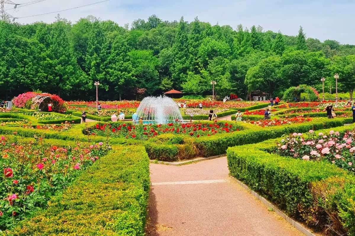 인천수목원 풍경  