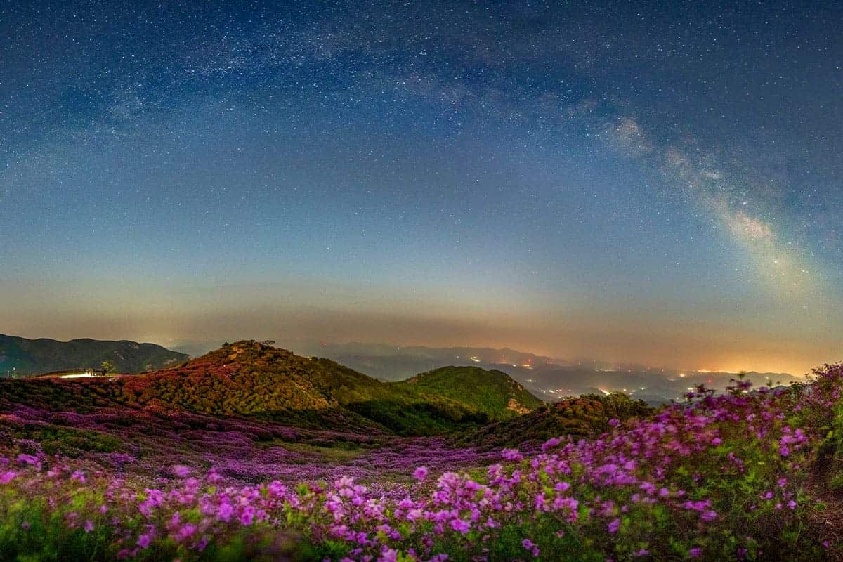 황매산 철쭉 밤하늘 황매산 철쭉 밤하늘