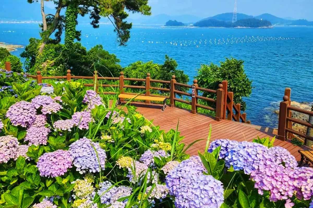 이순신공원 수국 바다뷰 