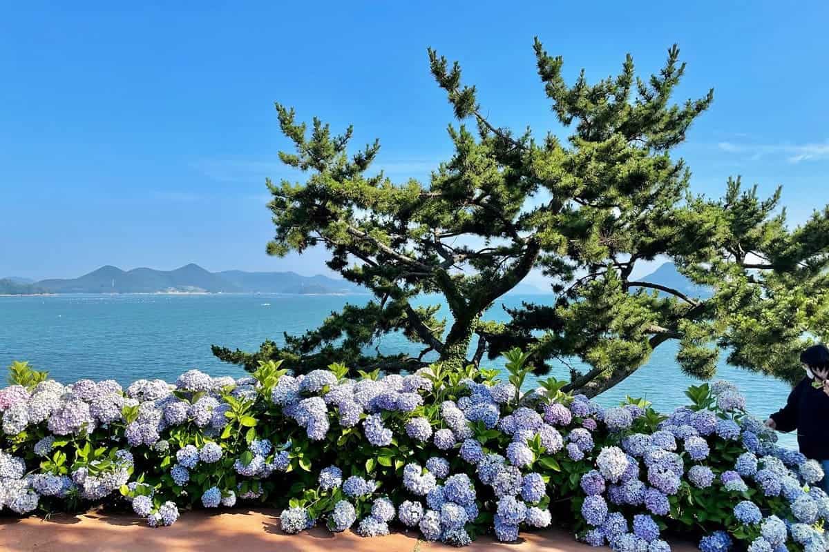 통영 이순신공원 / 사진=페이스북