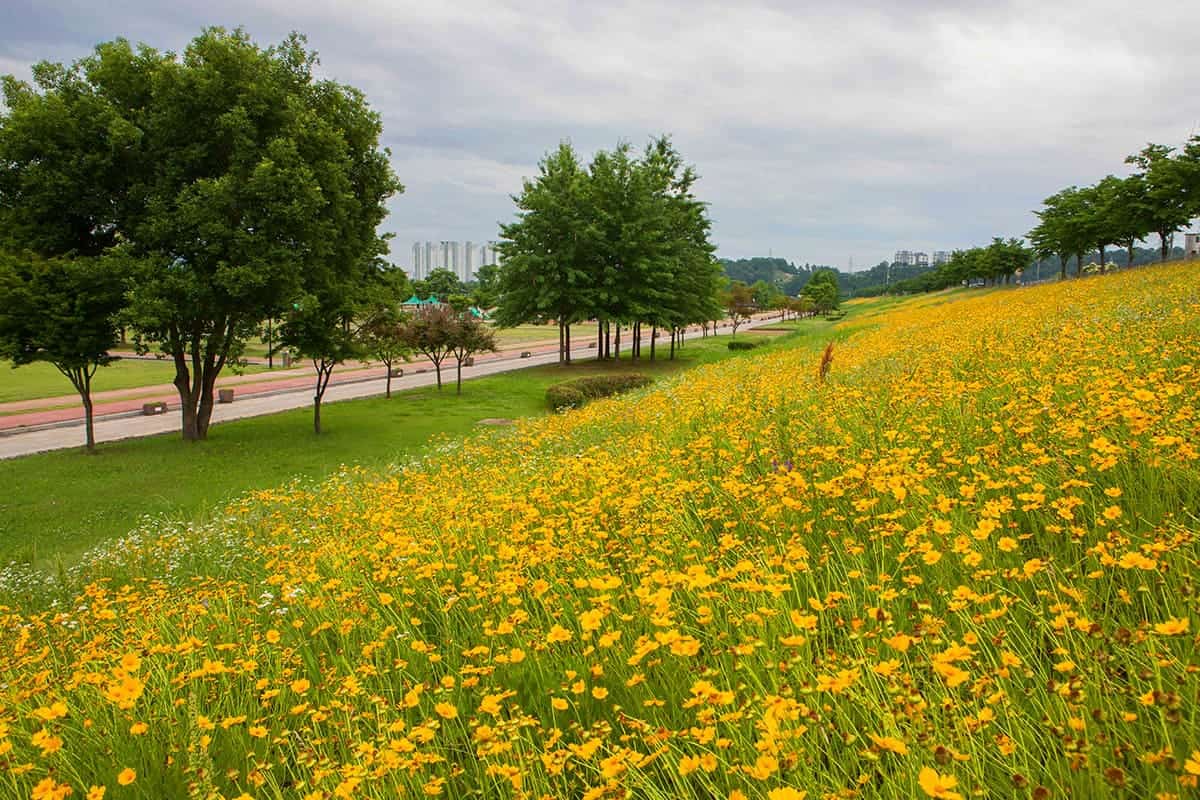 낙동강체육공원 풍경 