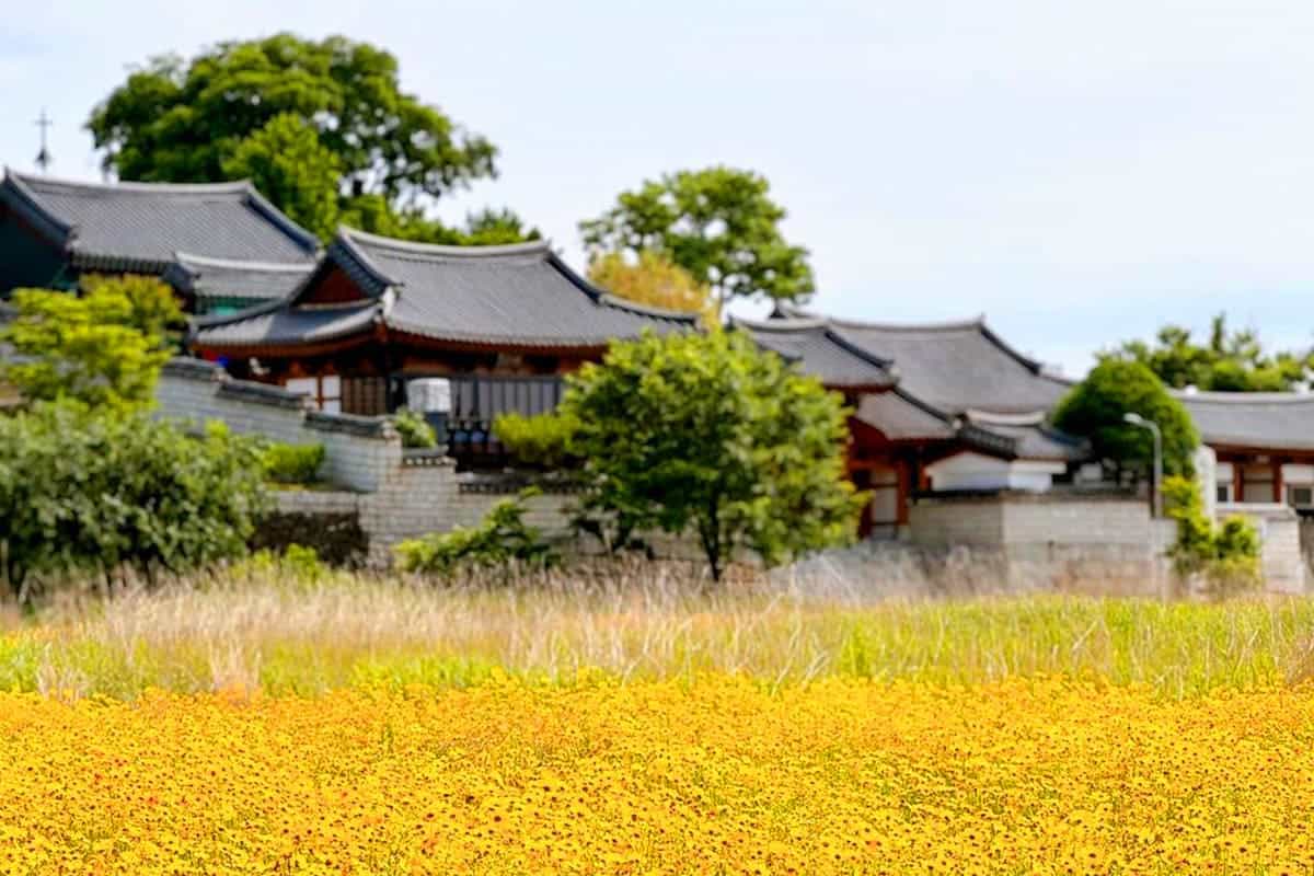 명례강변공원 꽃밭 명례강변공원 꽃밭