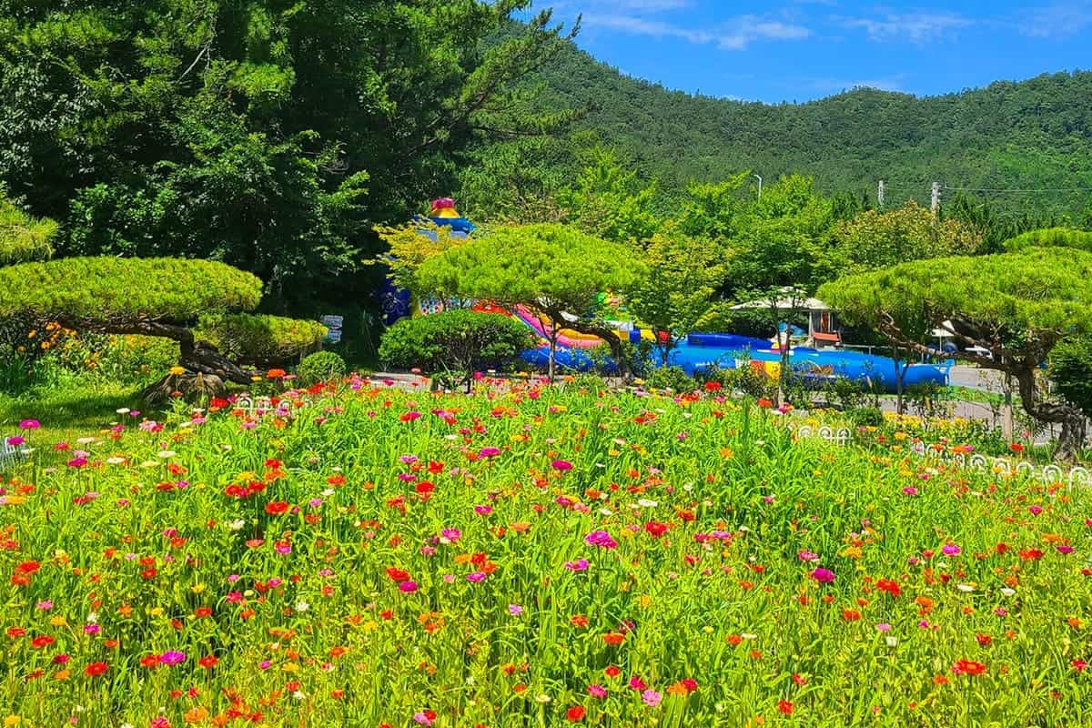 하늘빛수목정원 풍경 하늘빛수목정원 풍경
