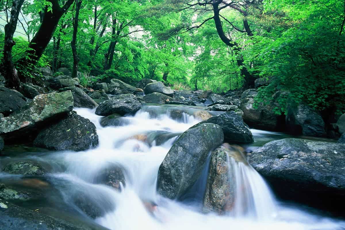 사나사계곡 사나사계곡