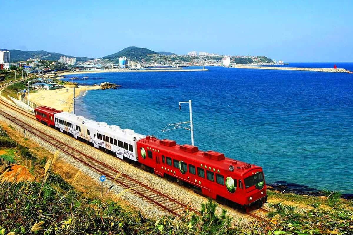 삼척 바다열차 풍경  