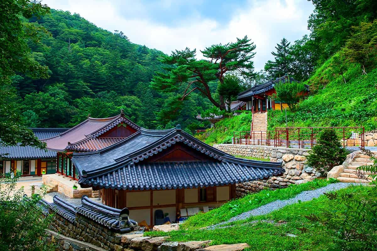 정암사의 여름 정암사의 여름