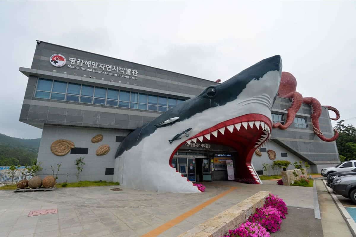 땅끝해양자연사박물관 입구 땅끝해양자연사박물관 입구