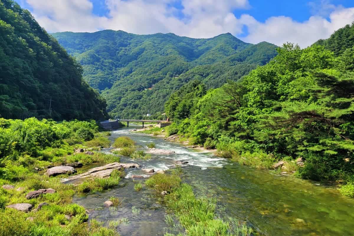 명지계곡 전경 명지계곡 전경