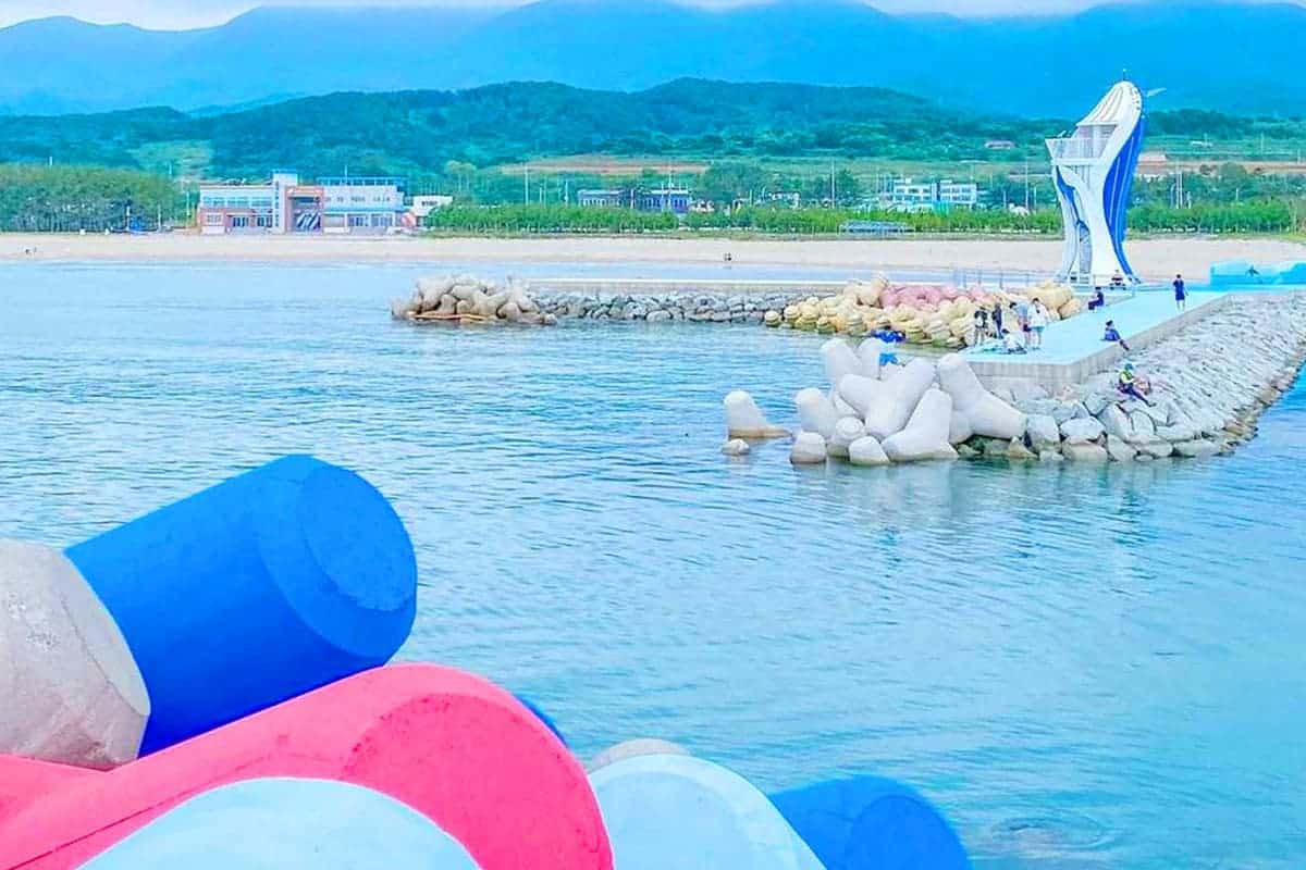 고래불해수욕장 바다뷰 고래불해수욕장 바다뷰