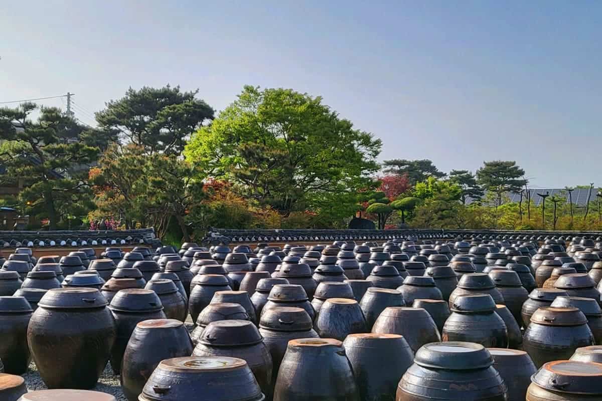 고스락 장독대 포토스팟 고스락 장독대 포토스팟