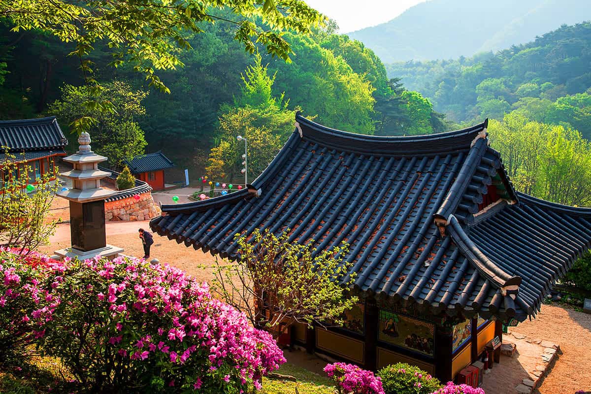 석남사 석남사영산전 