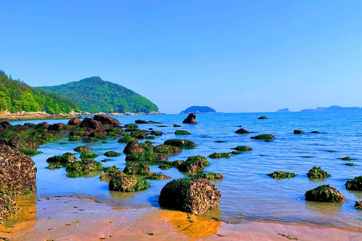 발포해수욕장 바다 풍경 발포해수욕장 바다 풍경