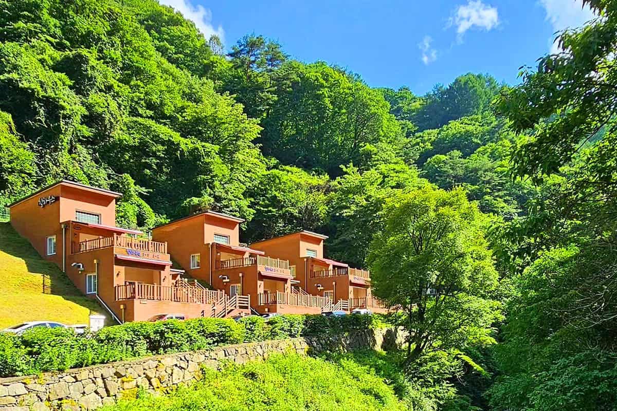 수도산자연휴양림 자연 전경 수도산자연휴양림 자연 전경