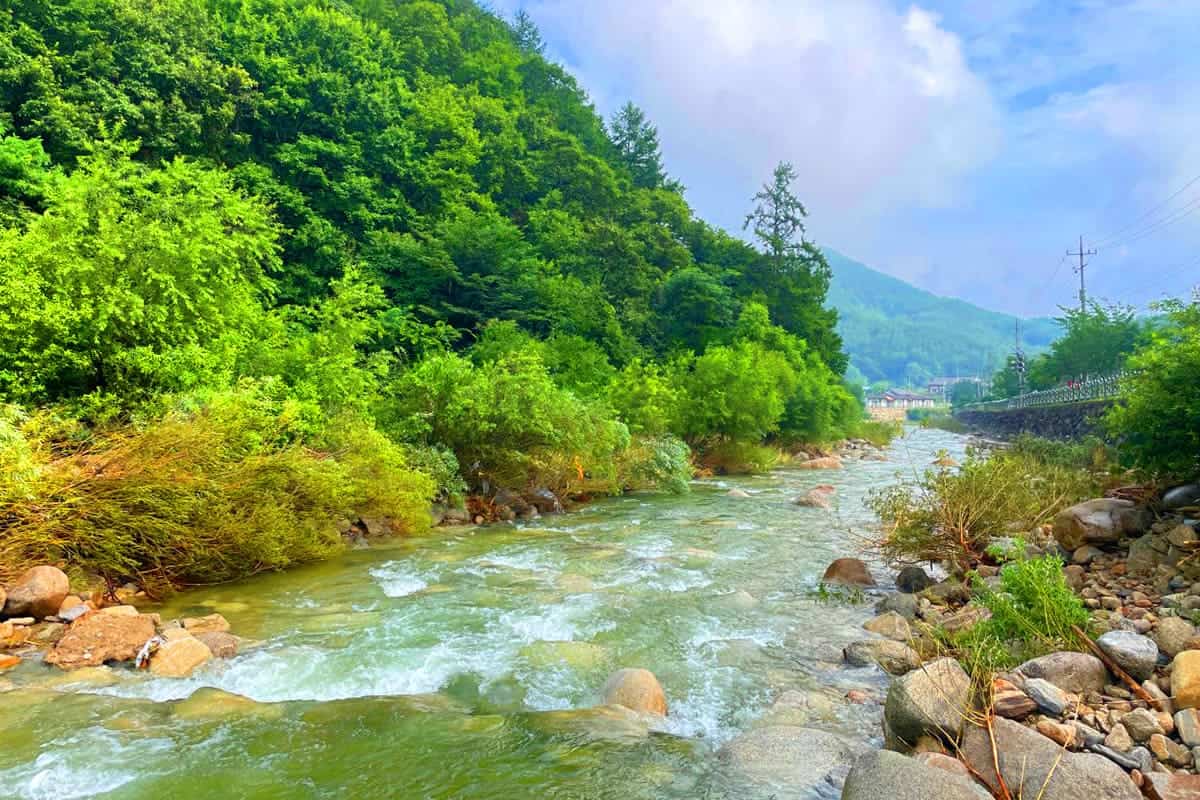 증산계곡 자연 경관 증산계곡 자연 경관