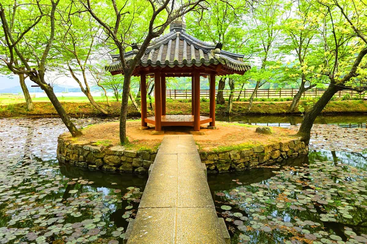 고성장산숲 정원 풍경 고성장산숲 정원 풍경