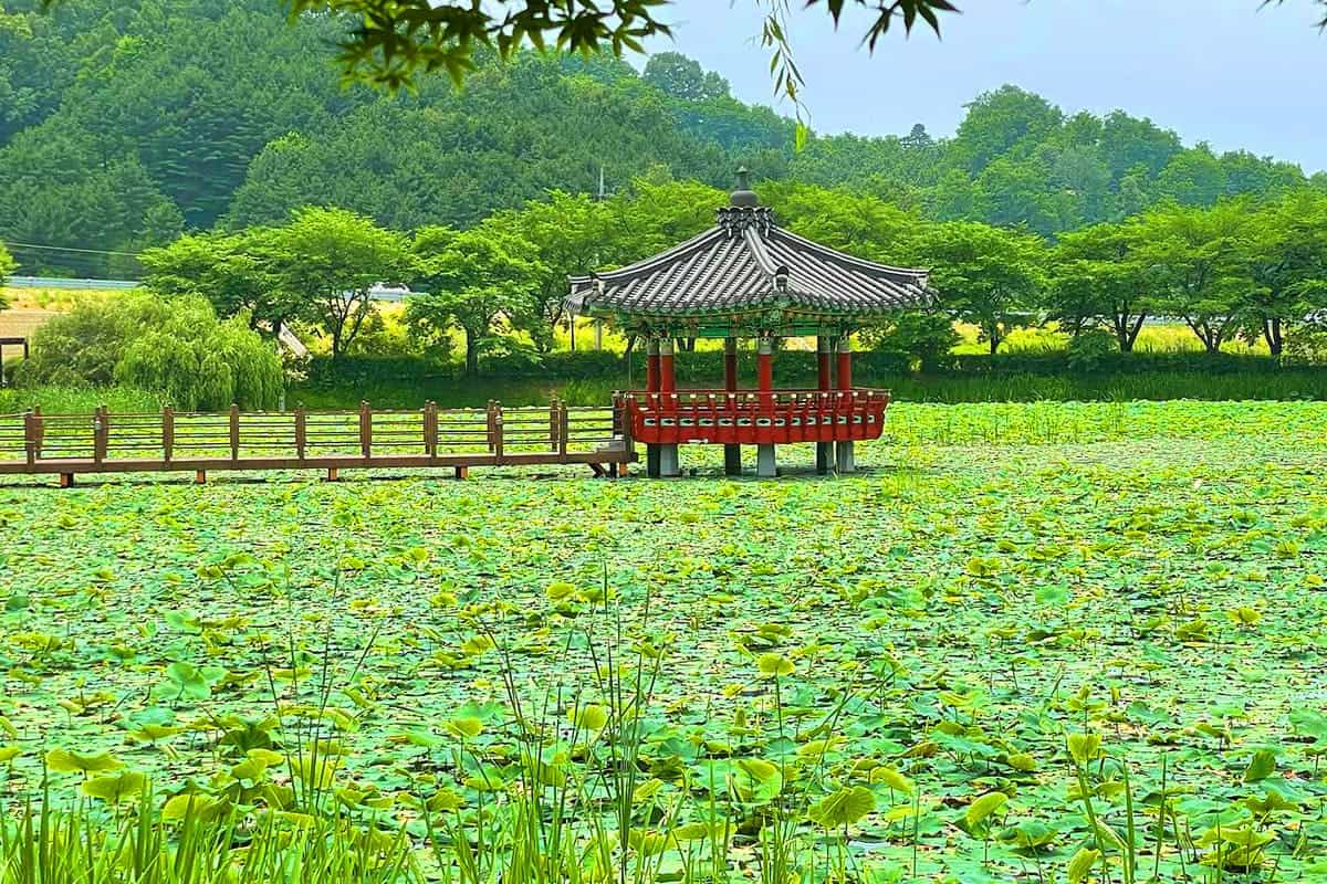 산택지 정자 풍경 산택지 정자 풍경