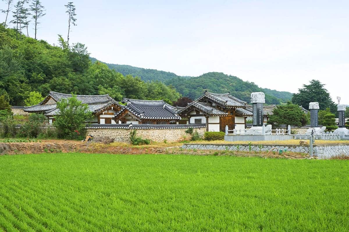 금당실전통마을 금곡서원 금당실전통마을 금곡서원