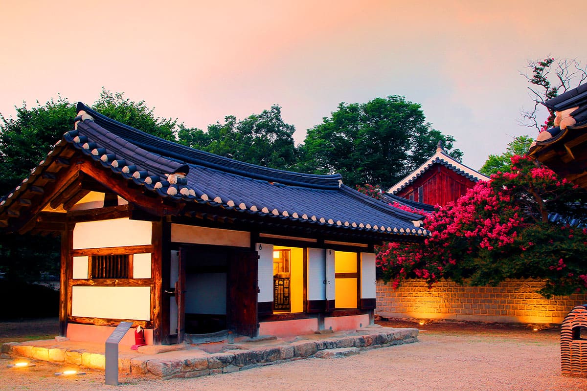전주경기전 배롱꽃 전주경기전 배롱꽃