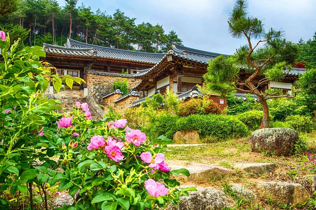 안동 군자마을 한옥 풍경 안동 군자마을 한옥 풍경
