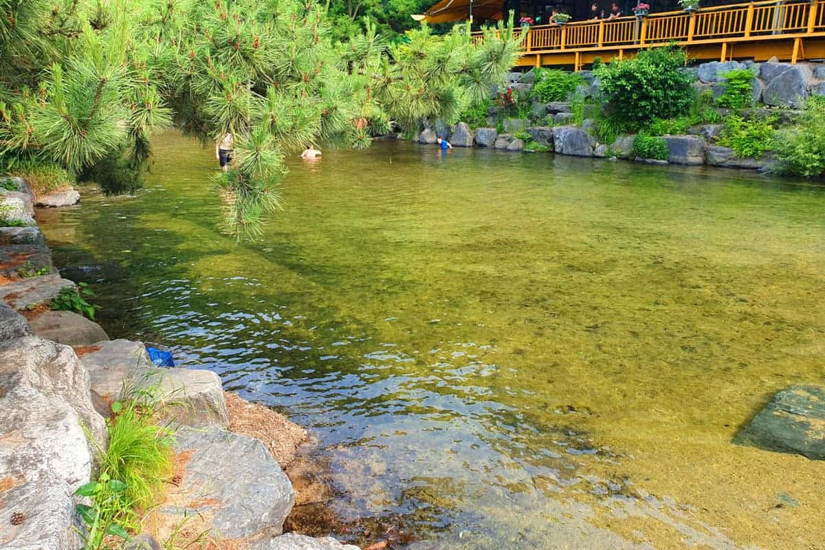 삼막사계곡 여름철 풍경 삼막사계곡 여름철 풍경