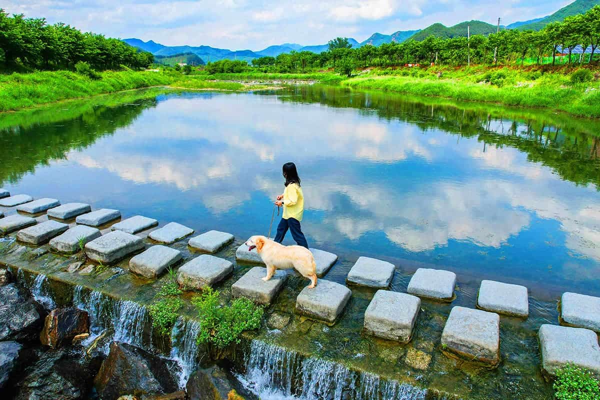 경천애인마을 저수지 산책 