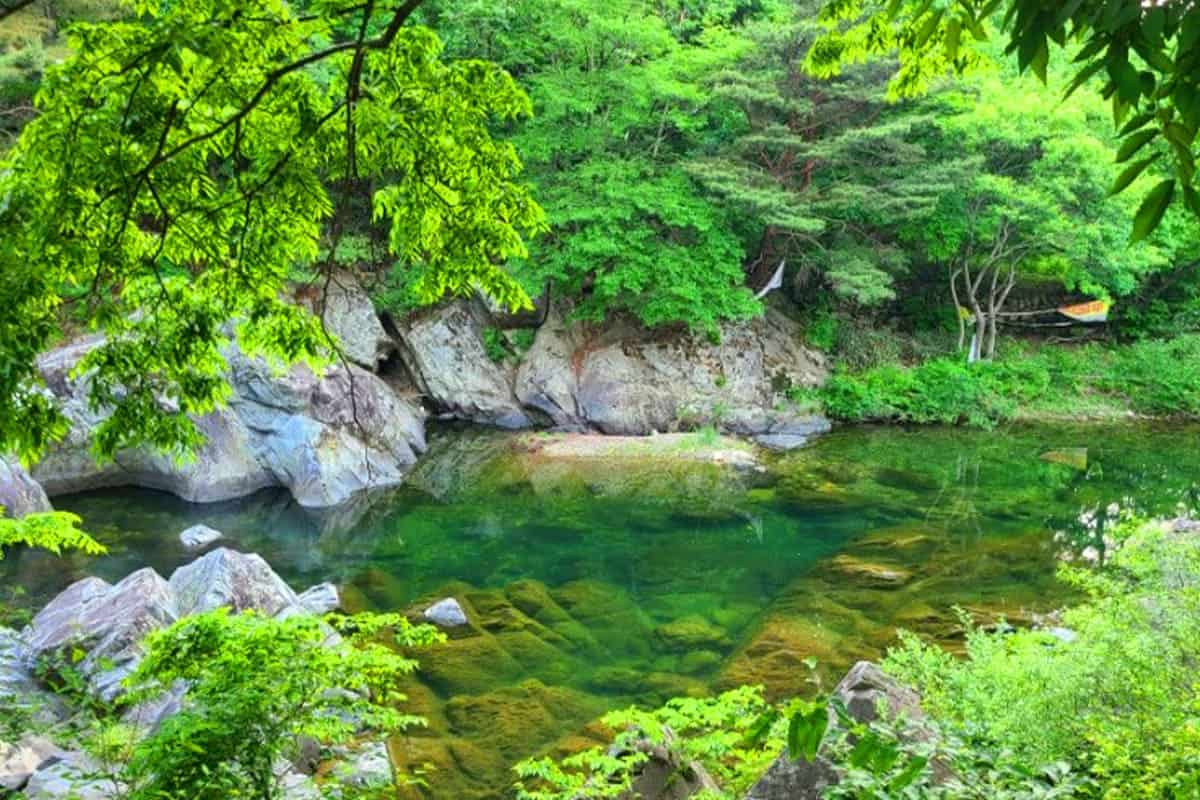 옥계천 여름 풍경 