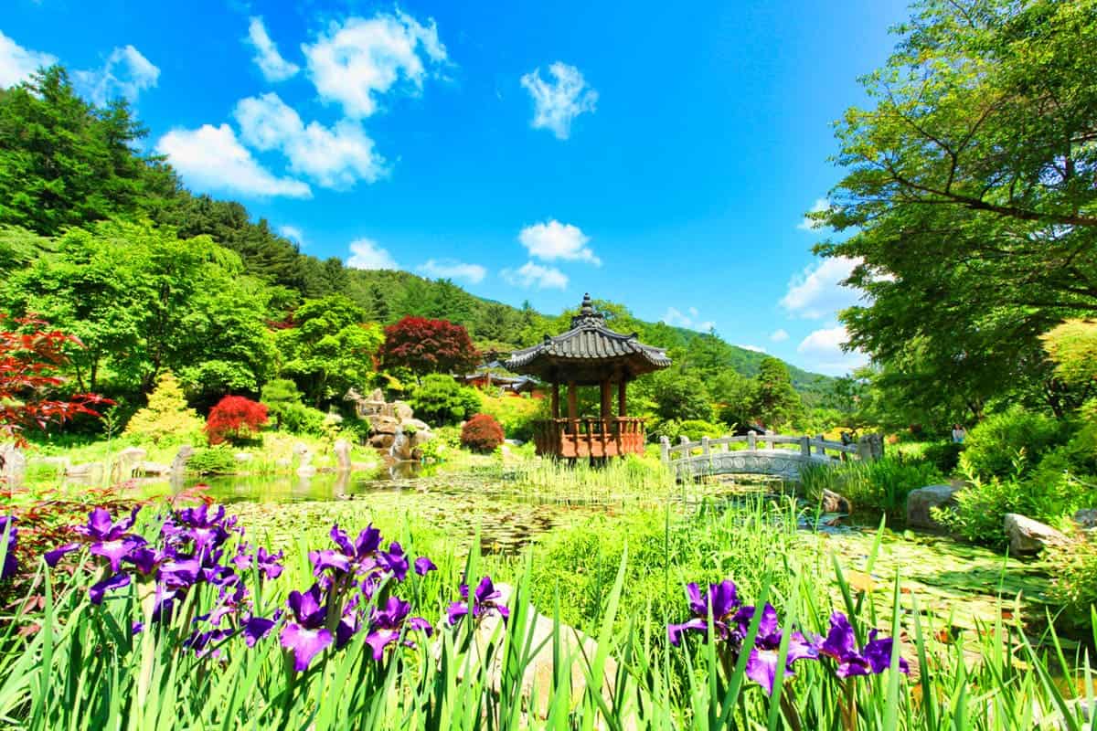아침고요수목원 여름꽃 풍경 아침고요수목원 여름꽃 풍경