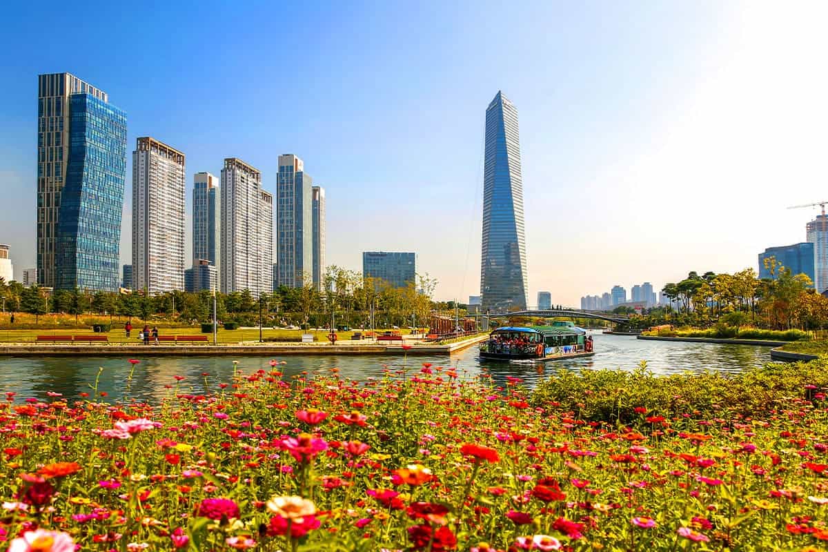송도 센트럴파크 백일홍 송도 센트럴파크 백일홍