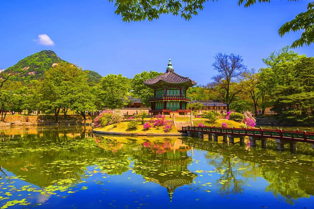 경복궁 향원정 풍경 경복궁 향원정 풍경