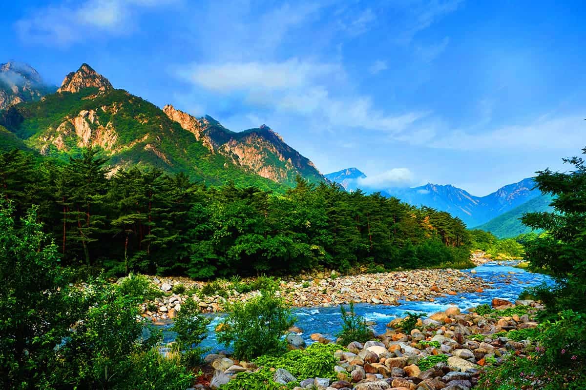 설악산국립공원 계곡 풍경 