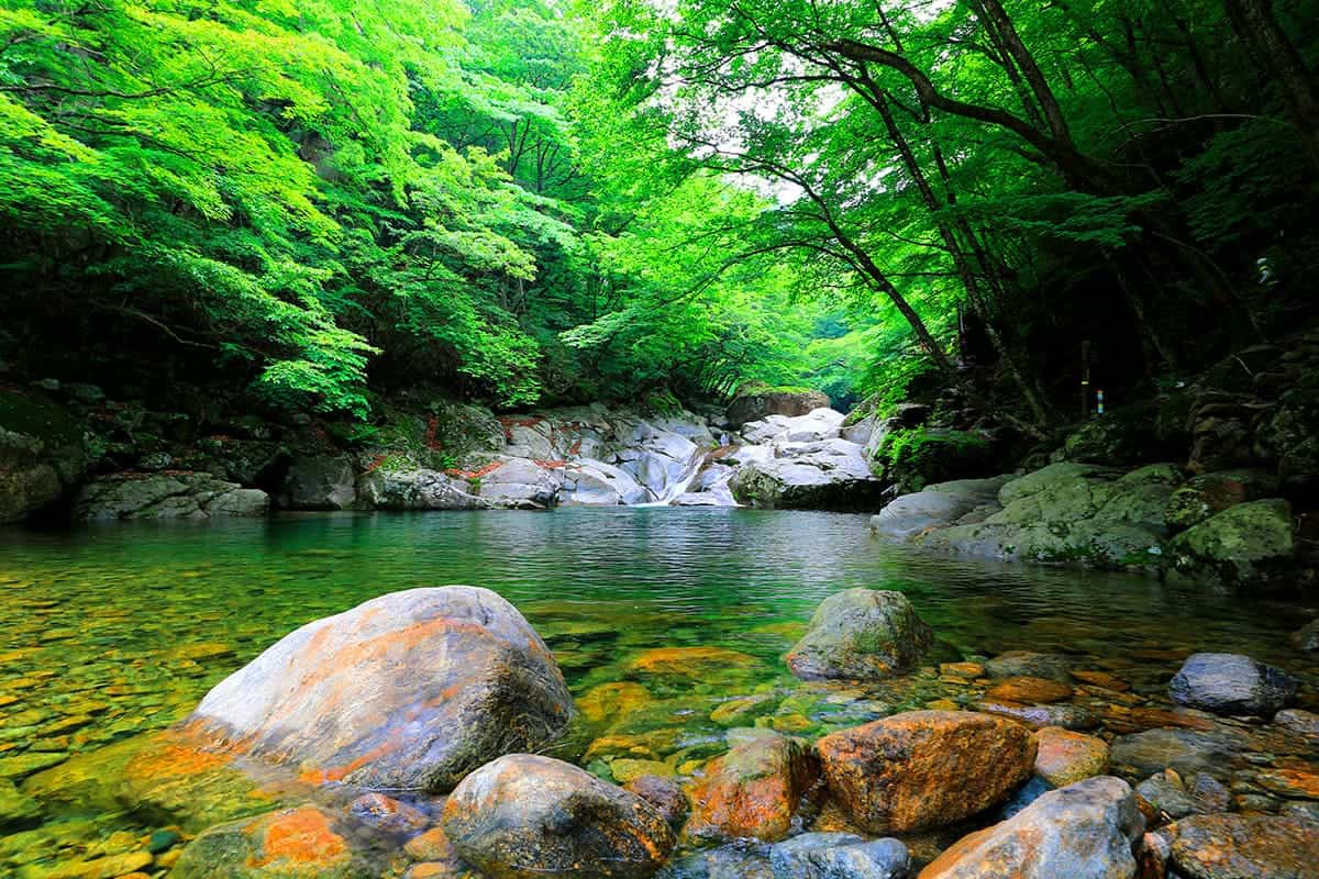 지리산 칠선계곡 풍경 지리산 칠선계곡 풍경