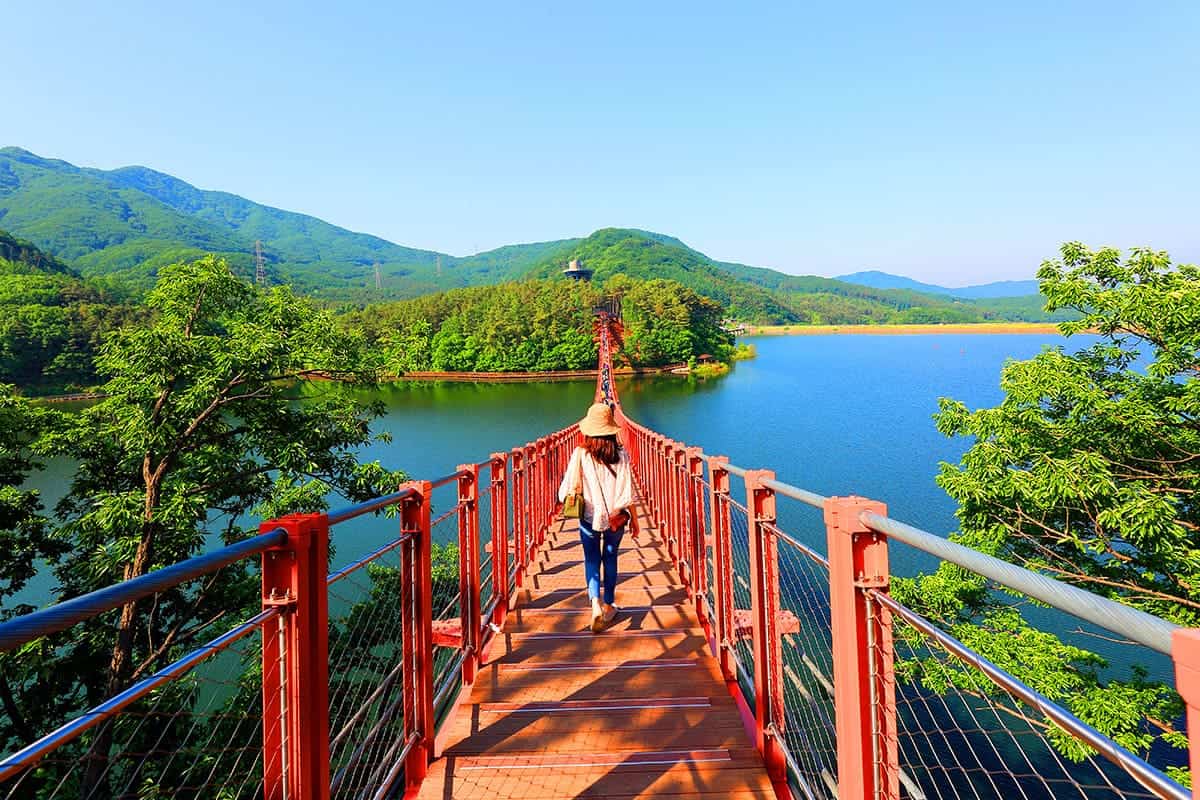 마장호수출렁다리 전경 마장호수출렁다리 전경