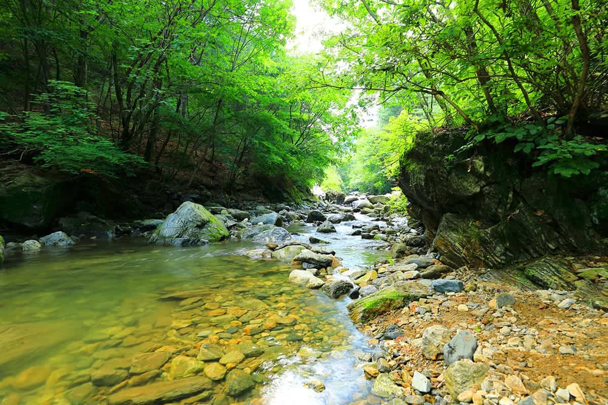 칼봉산 경반계곡 칼봉산 경반계곡