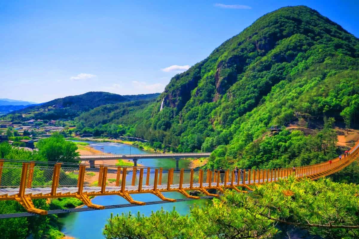 월영산 출렁다리 풍경 월영산 출렁다리 풍경