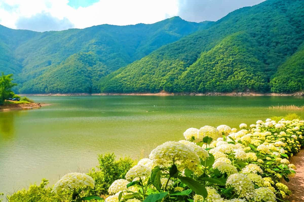 장계관광지 호수 풍경 