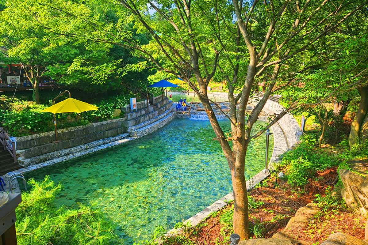 월출산기찬랜드 수영장 월출산기찬랜드 수영장