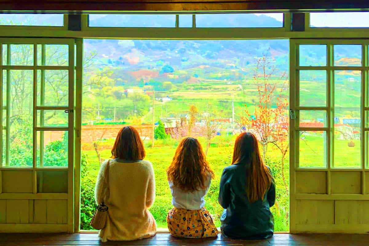 매암차문화박물관 하동녹차밭 