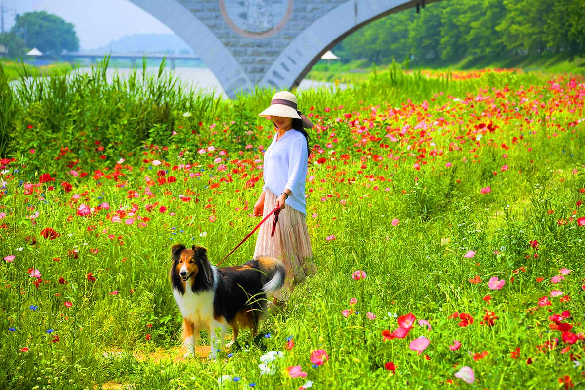 오수의견관광지 산책길 오수의견관광지 산책길