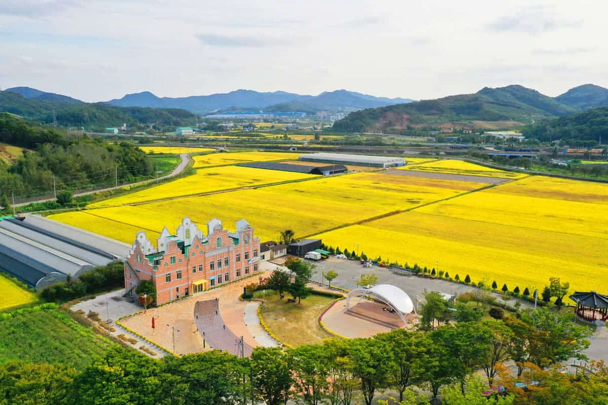 임실치즈마을 자연 친화적인 전경 임실치즈마을 자연 친화적인 전경