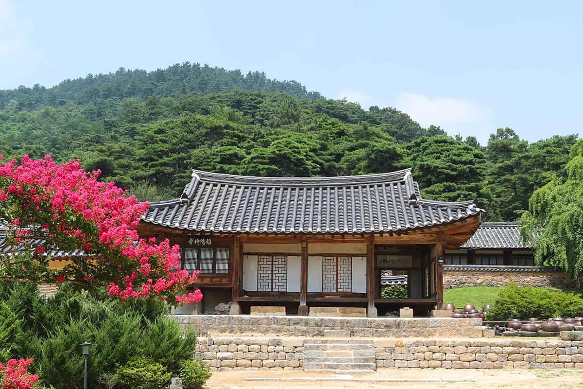 명재고택 여름 풍경 명재고택 여름 풍경