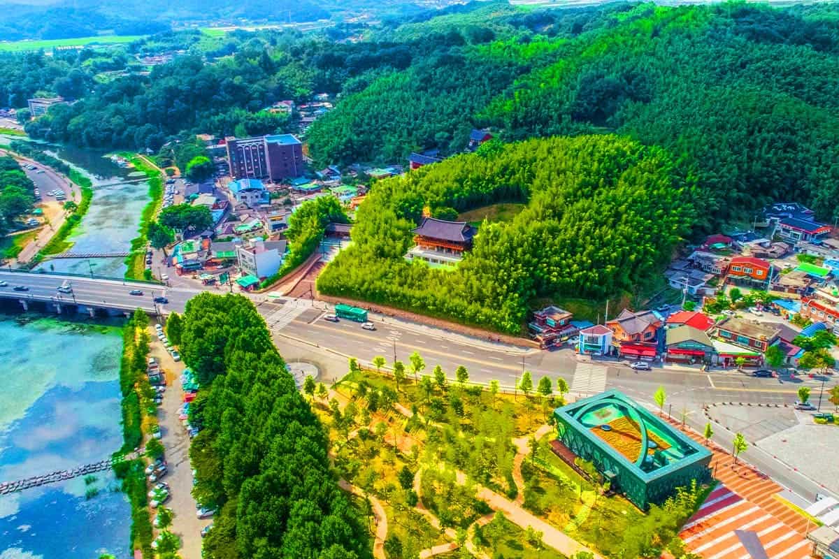 담양 대나무숲 전경 담양 대나무숲 전경