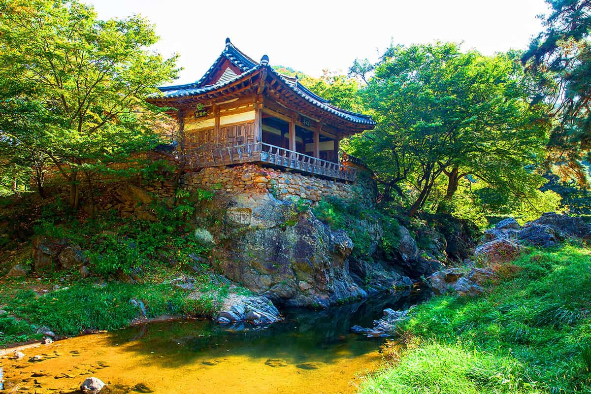 초간정 징검다리 초간정 징검다리