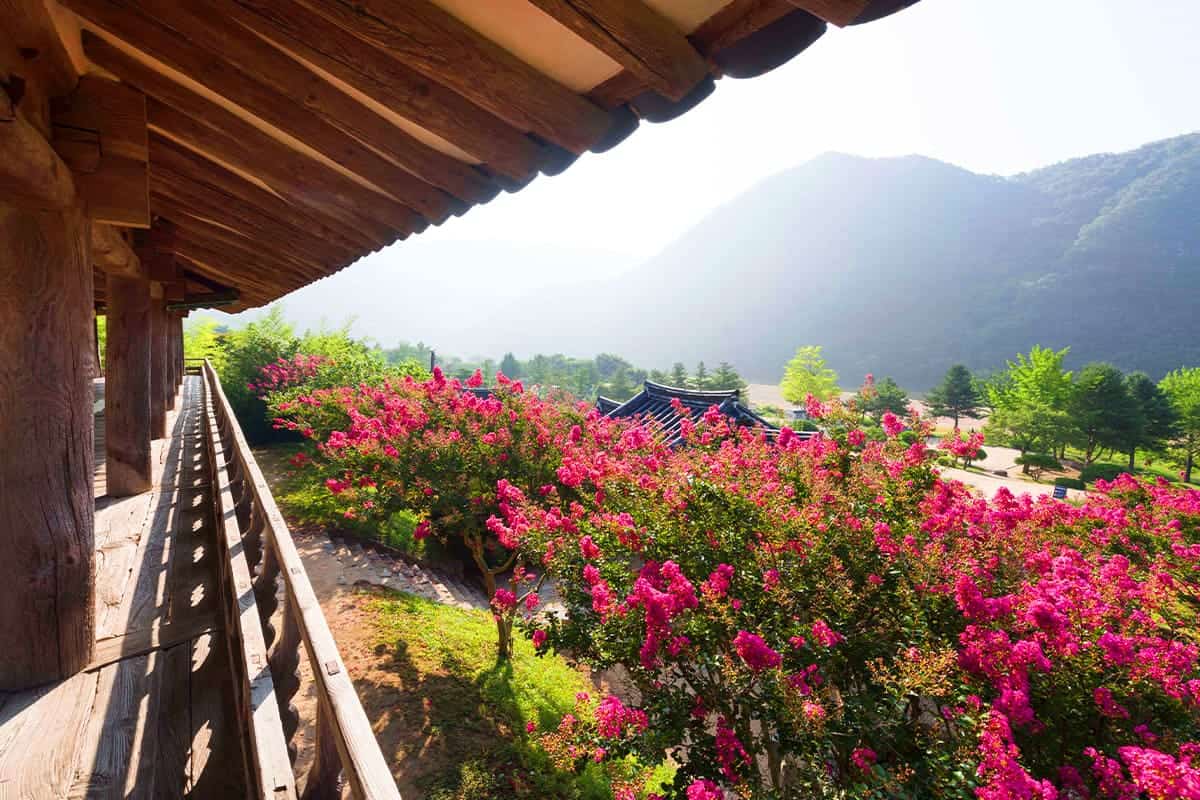 병산서원에서 바라보는 안동 병산서원에서 바라보는 안동