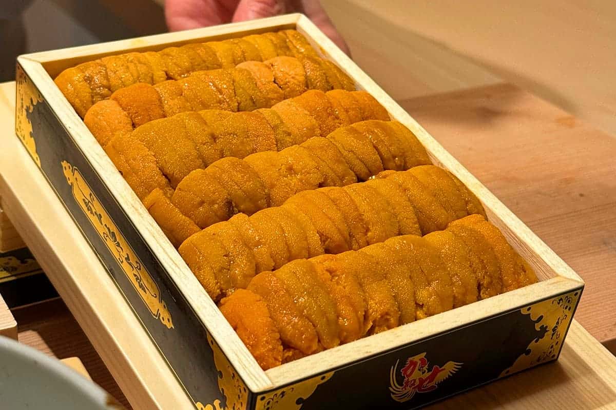 미가키 우니 / 사진=온라인커뮤니티 미가키 우니 / 사진=온라인커뮤니티
