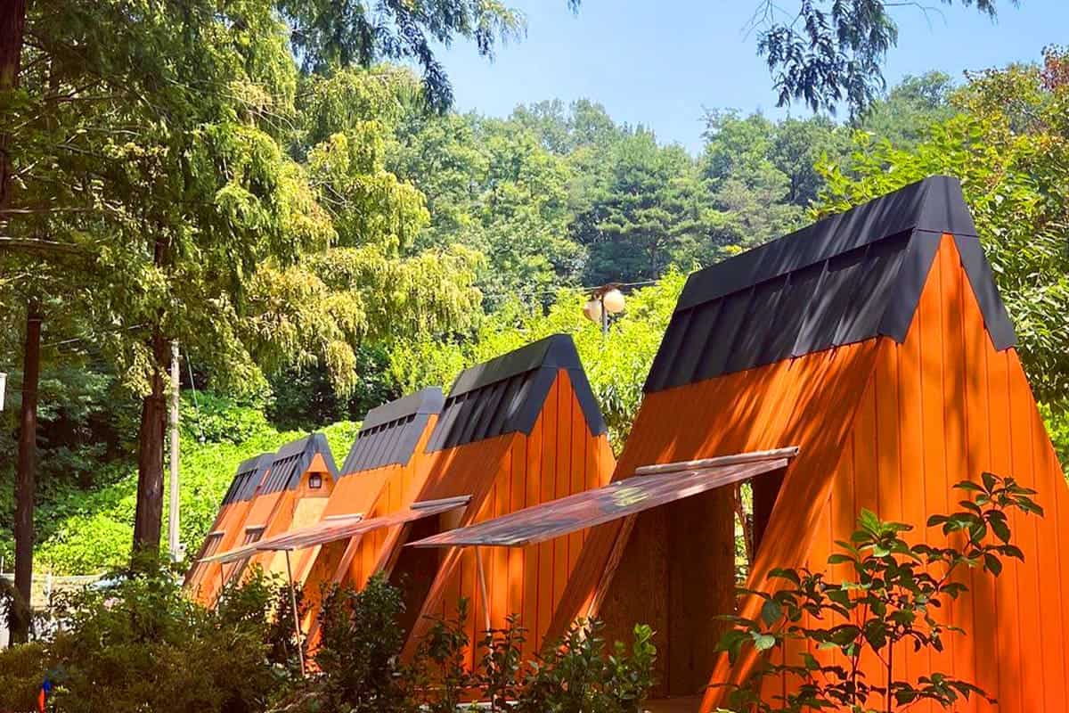 카페 빅트리 우드캐빈 외관 카페 빅트리 우드캐빈 외관