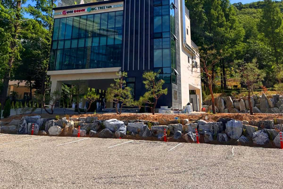 카페 빅트리 주차장 카페 빅트리 주차장