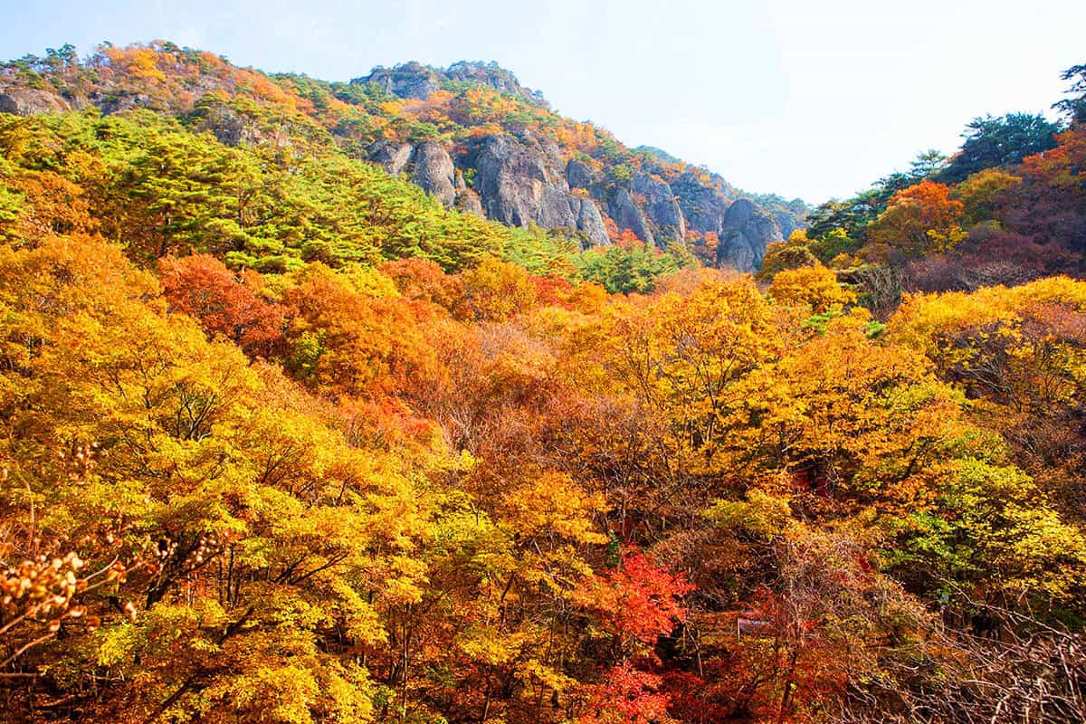 주왕산국립공원 가을숲 주왕산국립공원 가을숲