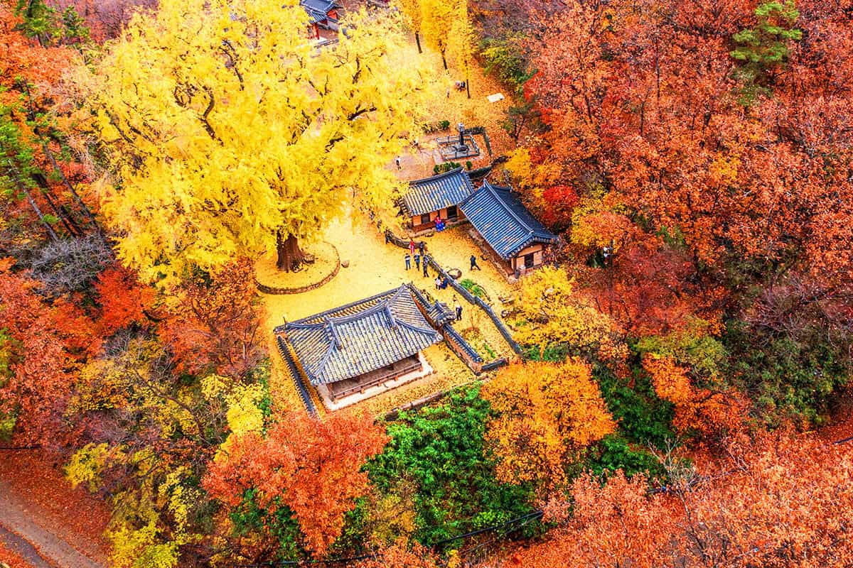 운곡서원의 가을 운곡서원의 가을