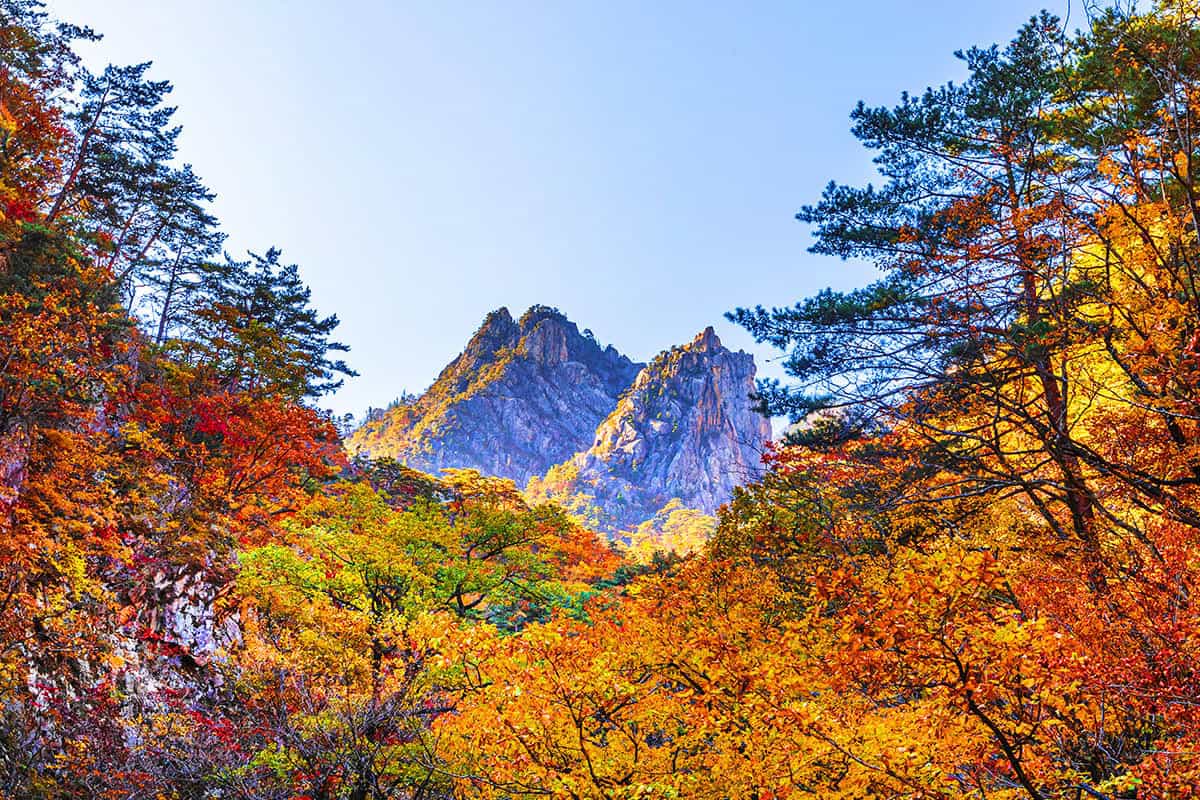설악산 단풍 봉우리 