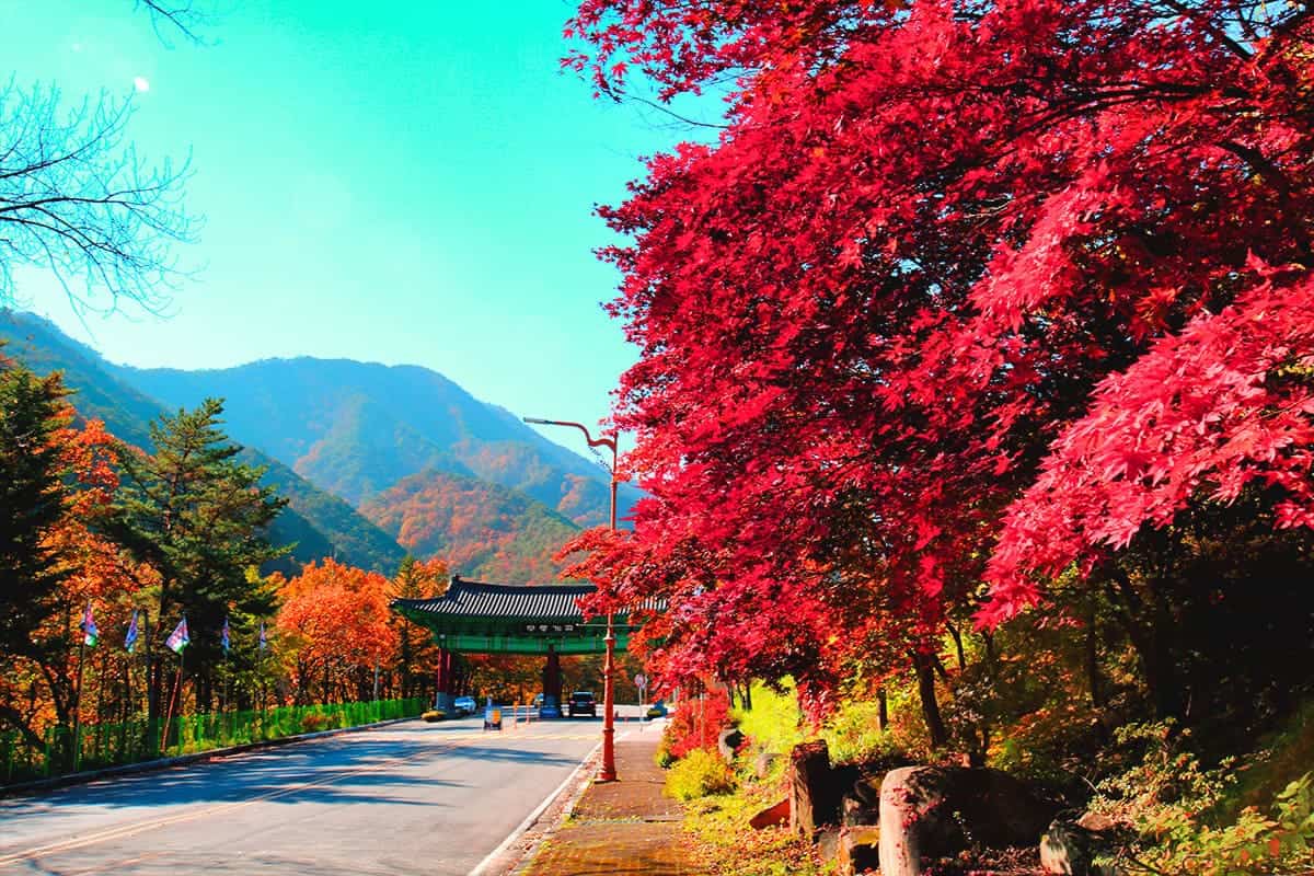 가을 동해시의 아름다운 자연경관 가을 동해시의 아름다운 자연경관
